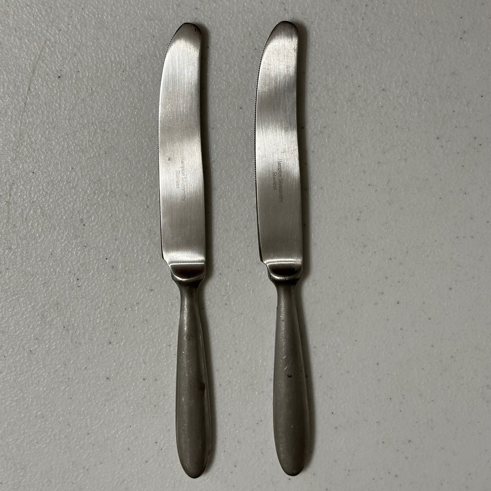 Hampton Silversmiths Bistro Satin Stainless Flatware Replacement 2 Dinner Knives